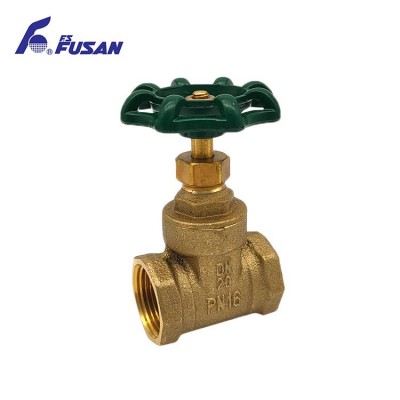 DN20 brass CXC 3/4" water control quick shot security metal gate valve